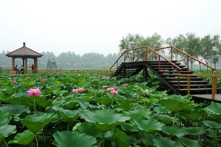 安新天气预报10天查询，末来十天天气