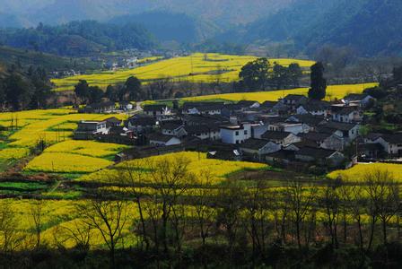 石台天气预报10天查询，末来十天天气