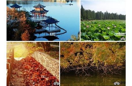 西湖天气预报10天查询，末来十天天气