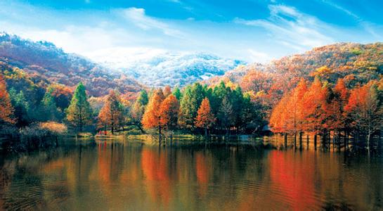 嵩县天气预报10天查询，末来十天天气