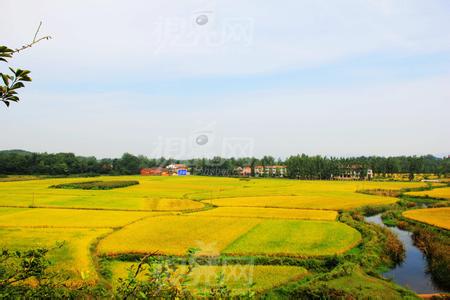 安陆天气预报10天查询，末来十天天气