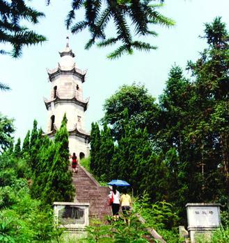 荷塘天气预报10天查询，末来十天天气