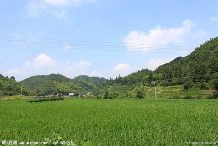 桂东天气预报10天查询，末来十天天气