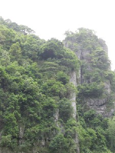 会同天气预报10天查询，末来十天天气