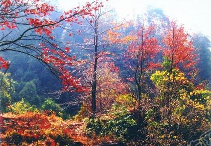 新丰天气预报10天查询，末来十天天气