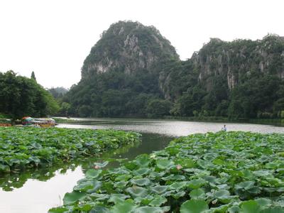 端州天气预报10天查询，末来十天天气