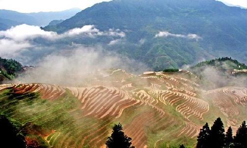 容县天气预报10天查询，末来十天天气