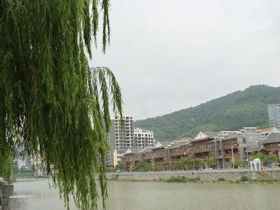 田林天气预报10天查询，末来十天天气