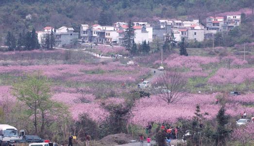 金城江天气预报10天查询，末来十天天气