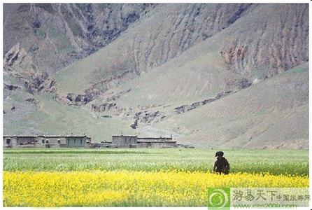 萨迦天气预报10天查询，末来十天天气