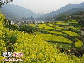 王益天气预报10天查询，末来十天天气