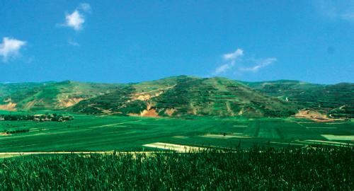 泾川天气预报10天查询，末来十天天气