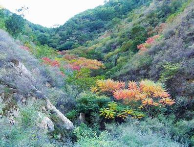 宁阳天气预报30天查询,宁阳县一个月天气