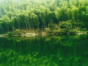 洪山天气预报30天查询,洪山区一个月天气