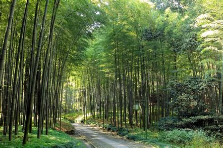 云溪天气预报30天查询,云溪区一个月天气