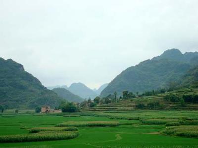 田阳天气预报30天查询,田阳县一个月天气