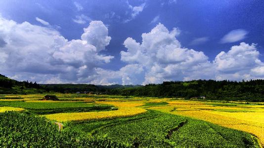 锦屏天气预报30天查询,锦屏县一个月天气