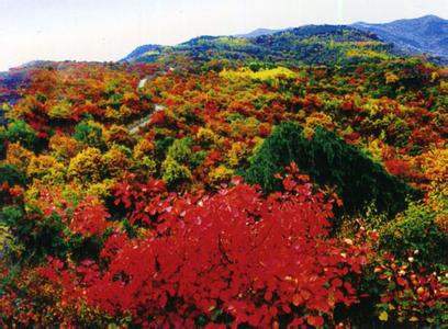 延安宜川天气预报_宜川天气预报一周7天10天15天延安宜川天气预报,宜川天气预报一周7天10天15天