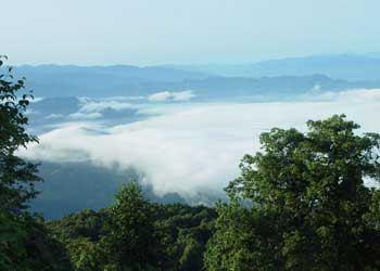 屏山天气预报15天查询