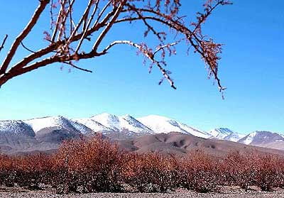 阿里噶尔县天气