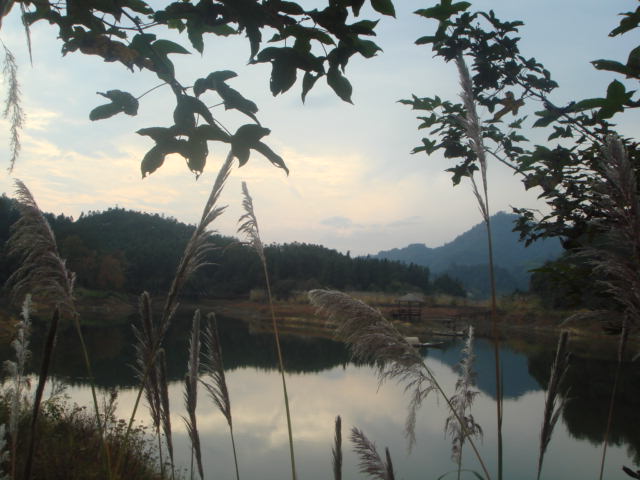 杭州千岛湖西南湖区——龙川湾