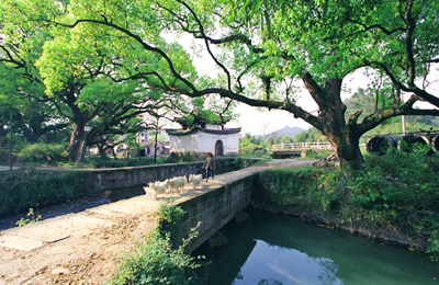 丽水莲都通济堰