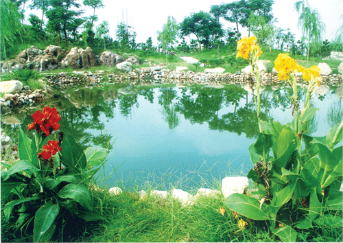 安丘青云湖