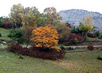 阳城析城山