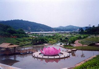 广州帽峰九龙涧天气