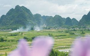 阳江合水镇平北村