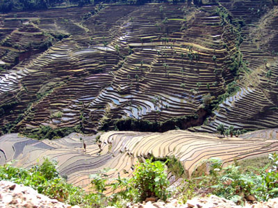 红河阿姆山