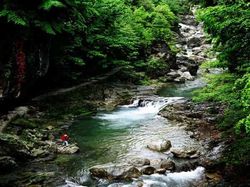 神农架龙门河