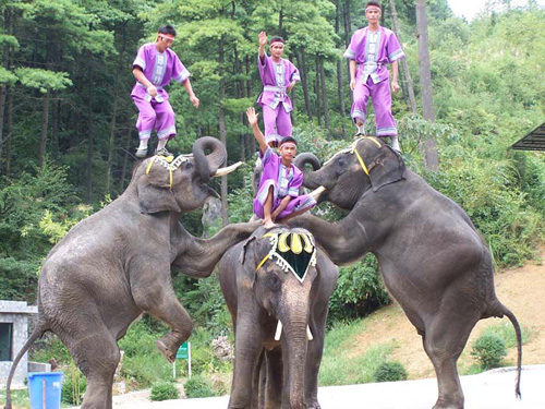 贵阳森林野生动物园