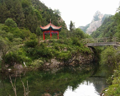 海南州同德河北森林天气