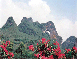 固原月亮山